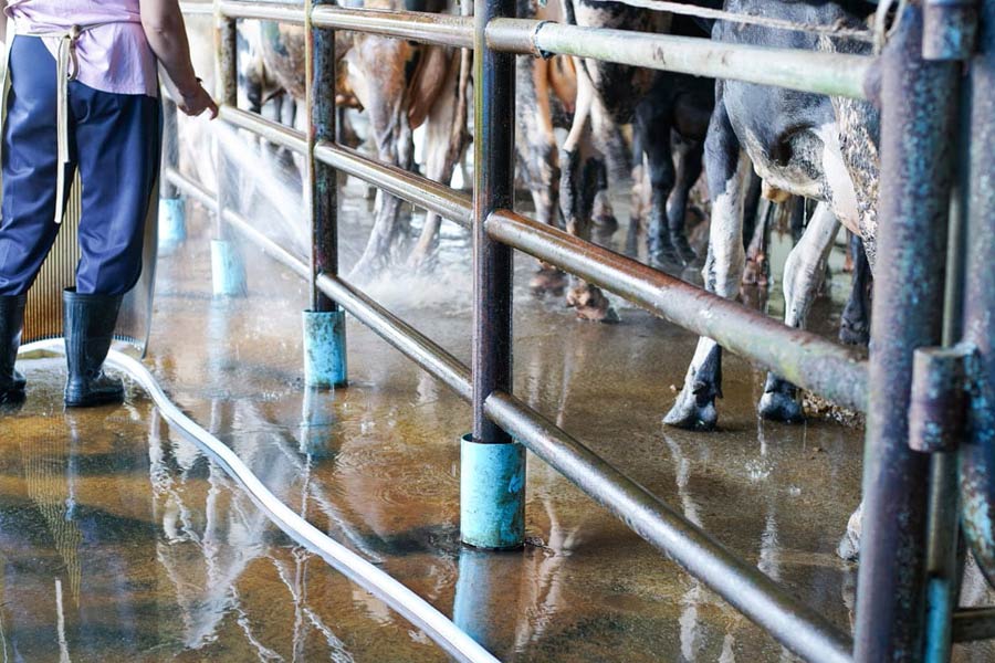 Farm Cleaning Services Armagh Antrim Down Tyrone