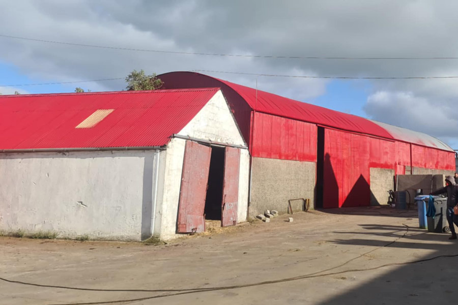 farm roof painting